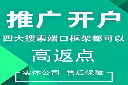 案例分析：SEM竞价代运营策略优化